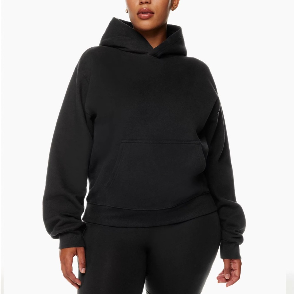 TNA Aritzia Perfect Hoodie & Boyfriend Sweatpant Set
